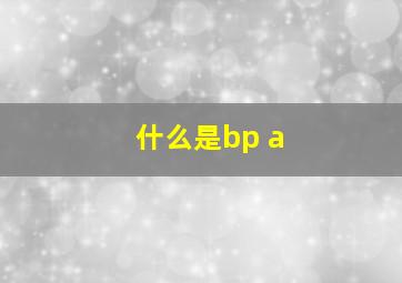 什么是bp a